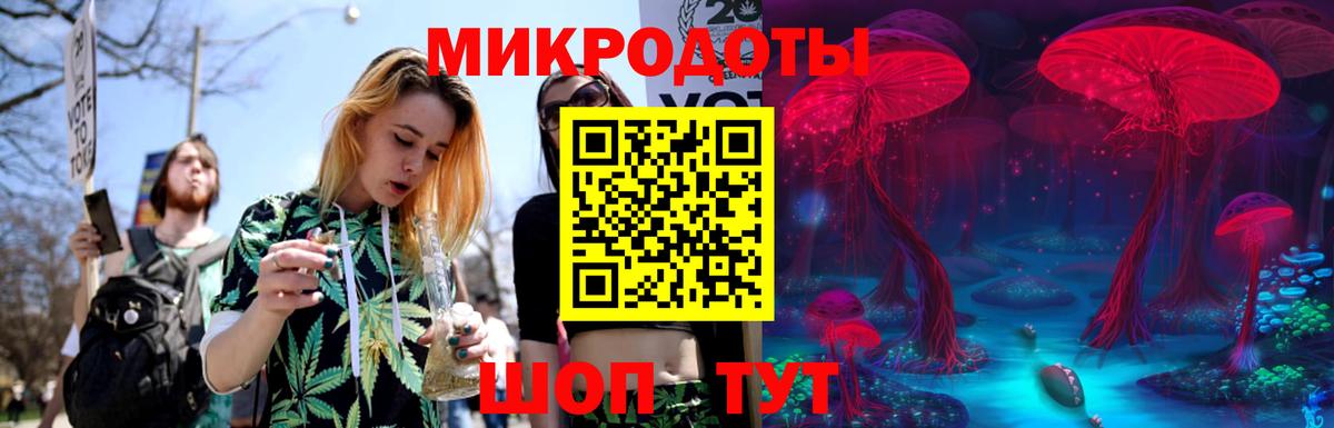 Псилоцибиновые грибы GOLDEN TEACHER Донской