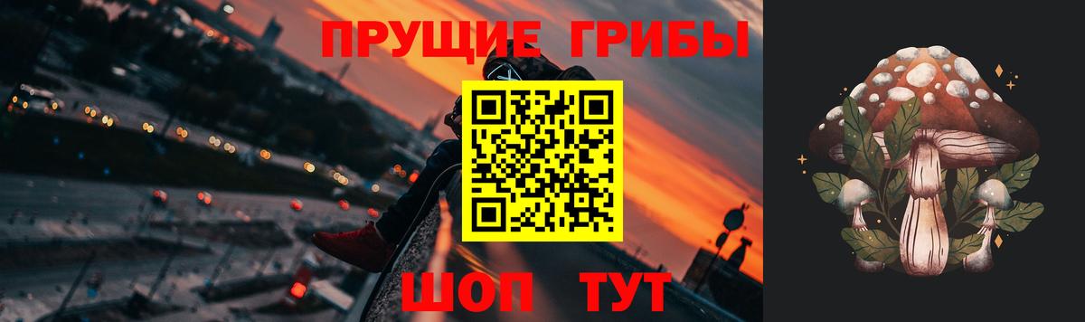 Донской  Псилоцибиновые грибы Psilocybe  Галлюциногенные грибы прущие грибы  купить наркотик  Вход с VPN 